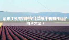 苹果手机有几代了（苹果手机有几代了图片大全）