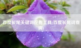 百度长尾关键词挖掘工具(百度长尾词查询)