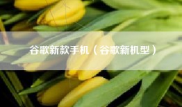 谷歌新款手机（谷歌新机型）