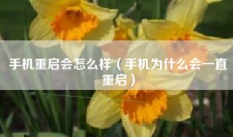 手机重启会怎么样（手机为什么会一直重启）