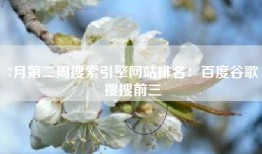 7月第二周搜索引擎网站排名：百度谷歌搜搜前三