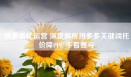 拼多多代运营 深度解析拼多多关键词托价降PPC 不看要亏