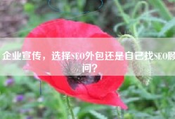 企业宣传，选择SEO外包还是自己找SEO顾问？
