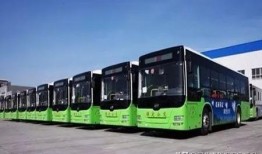 保定大堤口最新动态更新