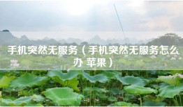 手机突然无服务（手机突然无服务怎么办 苹果）