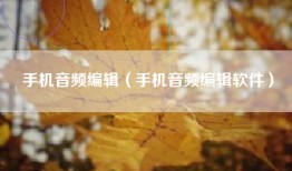 手机音频编辑（手机音频编辑软件）