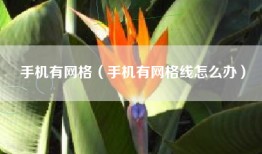 手机有网格（手机有网格线怎么办）