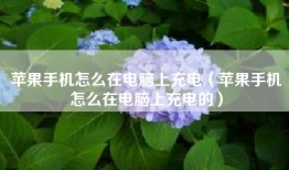 苹果手机怎么在电脑上充电（苹果手机怎么在电脑上充电的）