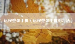 远程登录手机（远程登录手机的方法）