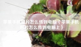 苹果手机照片怎么传到电脑（苹果手机照片怎么传到电脑上）