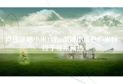 卢伟冰晒小米15 Pro微博小尾巴！米粉：终于等来预热
