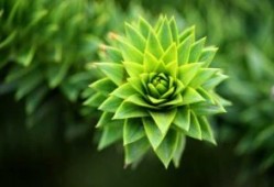 济南到贵州旅游团报价大揭秘！快来看看吧！