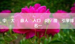 中國大陸 最人氣入口網站／搜尋引擎排名一覽