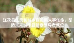 江孜县住房和城乡建设局人事任命，塑造未来城市新篇章领导者就位
