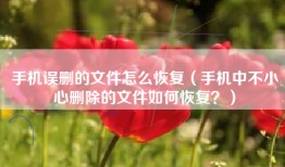 手机误删的文件怎么恢复（手机中不小心删除的文件如何恢复？）