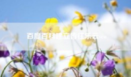 百度百科建立皆往乐云seo