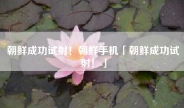 朝鲜成功试射！朝鲜手机「朝鲜成功试射！」