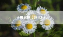 手机越狱（越狱14.6）