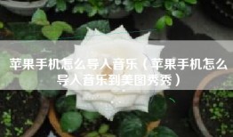 苹果手机怎么导入音乐（苹果手机怎么导入音乐到美图秀秀）