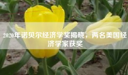 2020年诺贝尔经济学奖揭晓，两名美国经济学家获奖