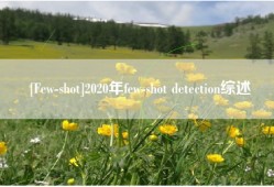 [Few-shot]2020年few-shot detection综述