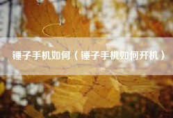 锤子手机如何（锤子手机如何开机）