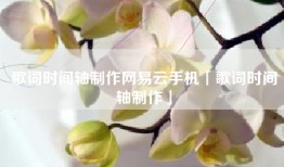 歌词时间轴制作网易云手机「歌词时间轴制作」