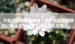 手机怎么桥接路由器（手机桥接路由器显示主DHCP是否开启怎么设置）