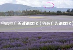 谷歌推广关键词优化（谷歌广告词优化）