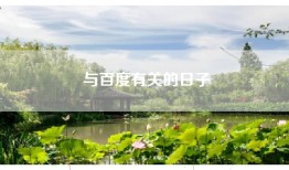 与百度有关的日子