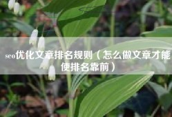 seo优化文章排名规则（怎么做文章才能使排名靠前）