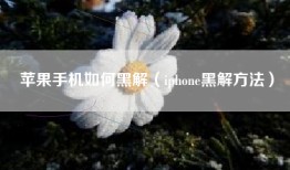 苹果手机如何黑解（iphone黑解方法）