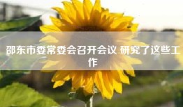 邵东市委常委会召开会议 研究了这些工作