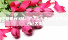 肥城市石横镇：红红火火过大年 热热闹闹赶大集
