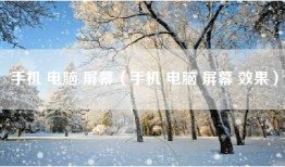 手机 电脑 屏幕（手机 电脑 屏幕 效果）