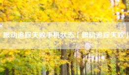 眼动追踪失败手机状态「眼动追踪失败」