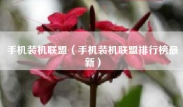 手机装机联盟（手机装机联盟排行榜最新）