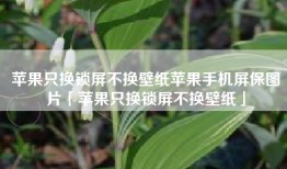 苹果只换锁屏不换壁纸苹果手机屏保图片「苹果只换锁屏不换壁纸」