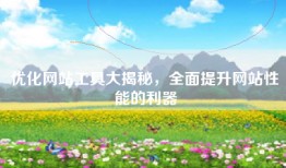 优化网站工具大揭秘，全面提升网站性能的利器