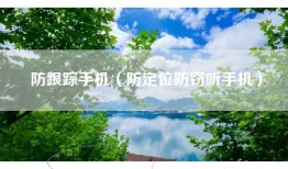 防跟踪手机（防定位防窃听手机）