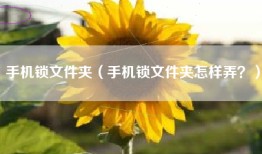 手机锁文件夹（手机锁文件夹怎样弄？）