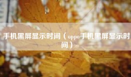手机黑屏显示时间（oppo手机黑屏显示时间）