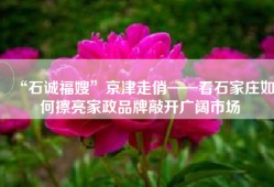 “石诚福嫂”京津走俏——看石家庄如何擦亮家政品牌敲开广阔市场