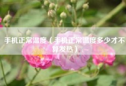 手机正常温度（手机正常温度多少才不算发热）