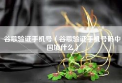 谷歌验证手机号（谷歌验证手机号码中国填什么）