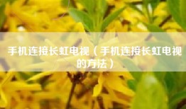 手机连接长虹电视（手机连接长虹电视的方法）