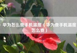 华为怎么查手机温度（华为查手机温度怎么查）