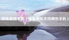 旗鱼系统手机（旗鱼系统支持哪些手机）