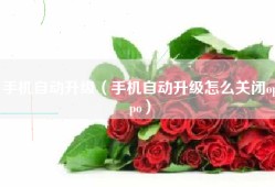 手机自动升级（手机自动升级怎么关闭oppo）