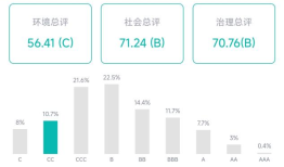 ESG观察｜借钱三千万填炒股资金的“坑” 金花股份有哪些治理漏洞？